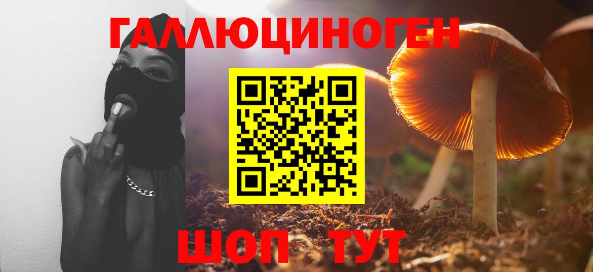 Саров  Псилоцибиновые грибы Magic Shrooms  Вход с VPN  Псилоцибиновые грибы Psilocybe 