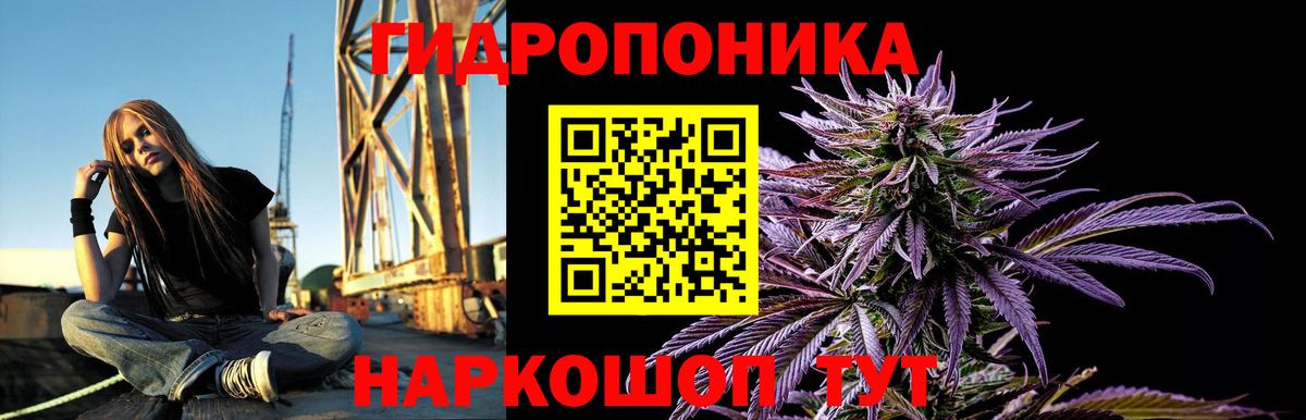 МАРИХУАНА Amnesia  Каннабис планчик  Саров  Вход с VPN  Бошки марихуана VHQ 
